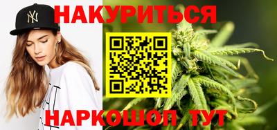 стаф Дубна