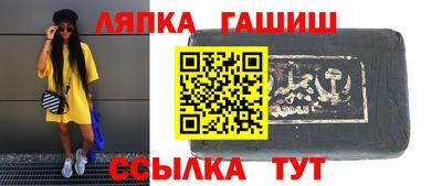 стаф Дубна