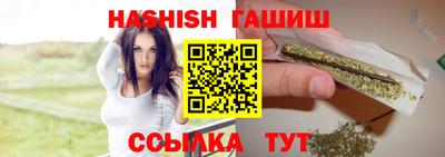 стаф Дубна