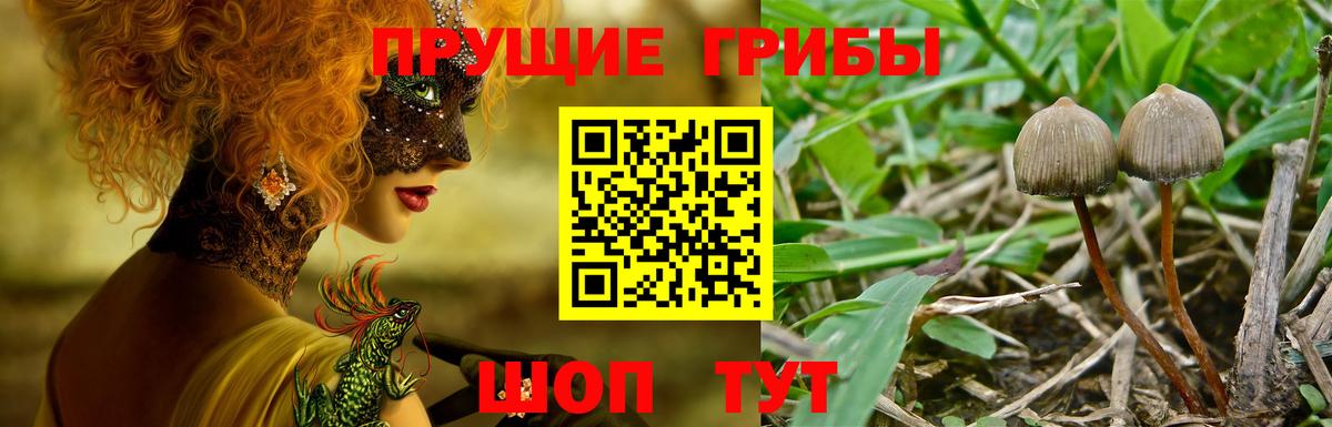 Псилоцибиновые грибы мухоморы Михайловка