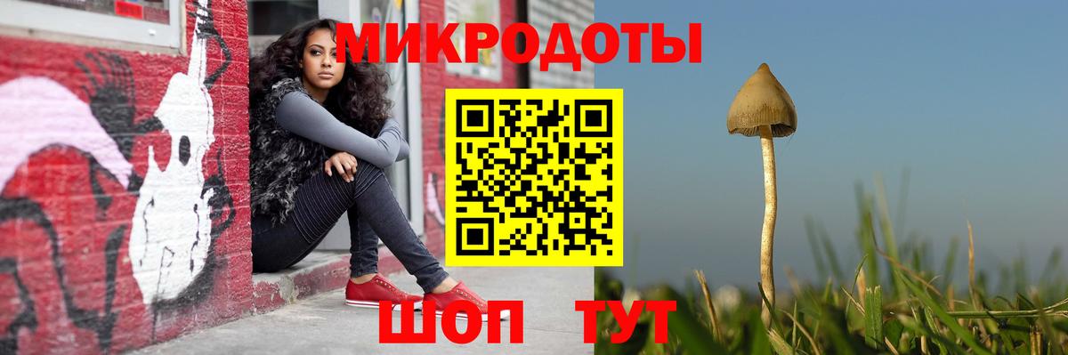 Михайловка  Галлюциногенные грибы MAGIC MUSHROOMS  закладка  Вход с VPN 